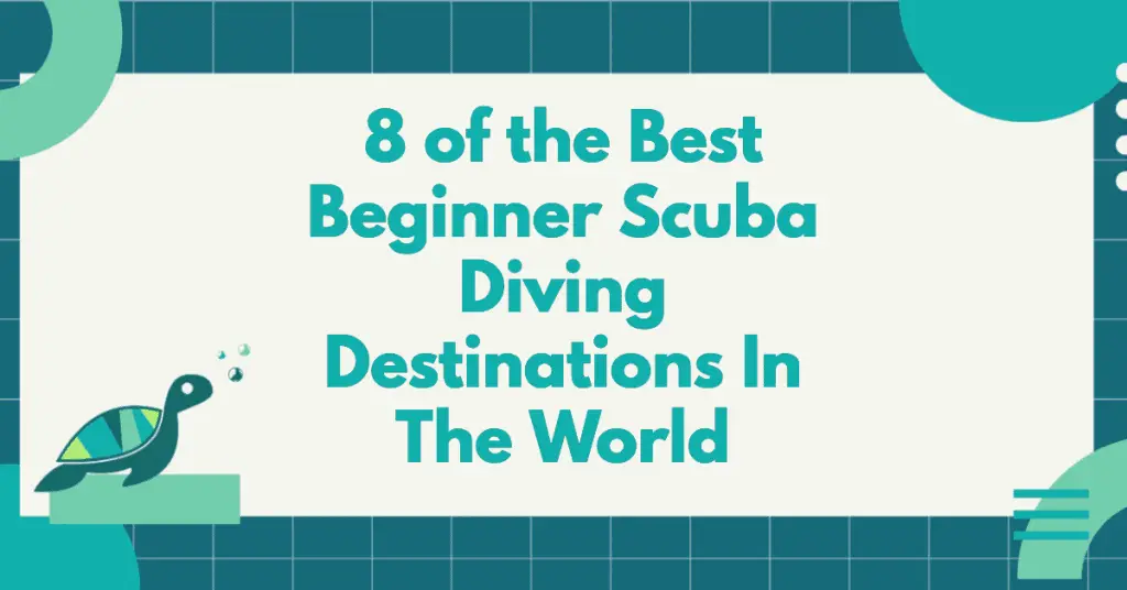 8 Of The Best Beginner Scuba Diving Destinations In The World