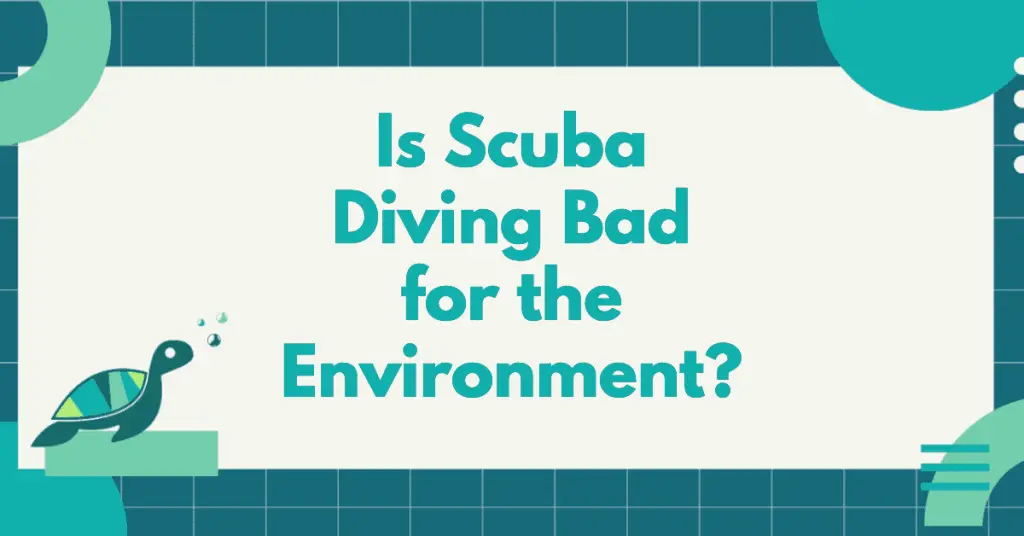 Is Scuba Diving Bad For The Environment?