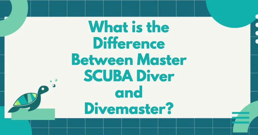 What Is The Difference Between Master SCUBA Diver And Divemaster