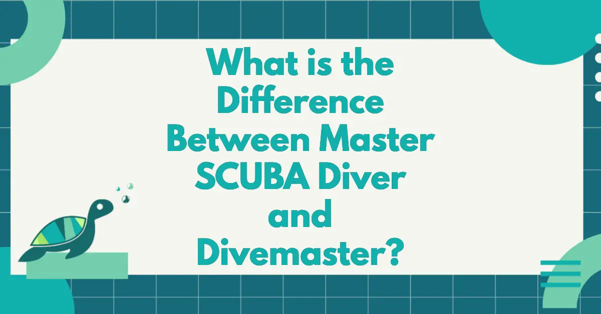 What Is The Difference Between Master SCUBA Diver And Divemaster