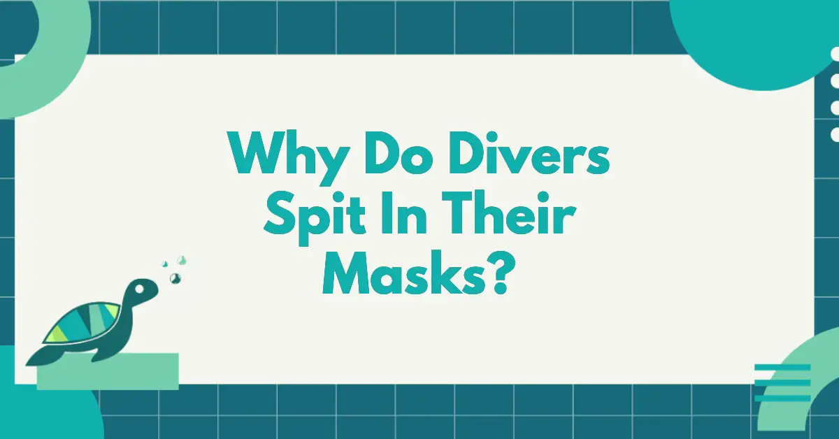 Why Do Divers Spit In Their Masks?