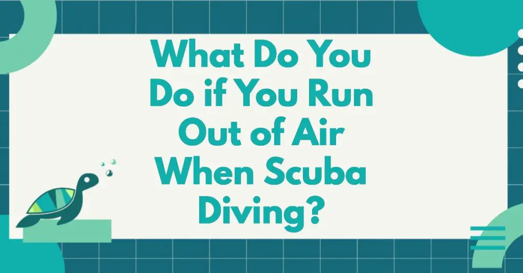 what-do-you-do-if-you-run-out-of-air-when-scuba-diving-divedeepscuba