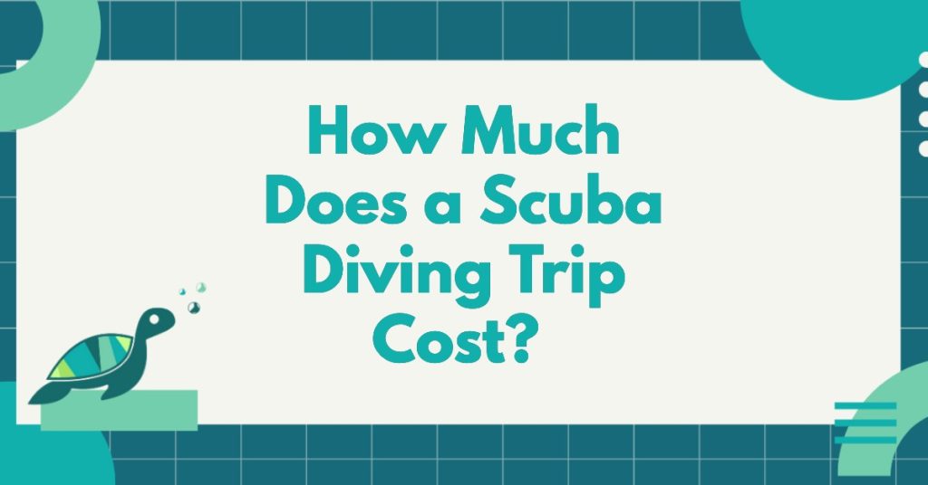 How Much Does It Cost For Scuba Diving