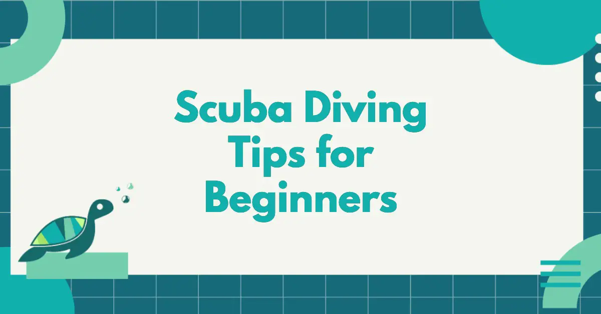 Scuba Diving Tips For Beginners