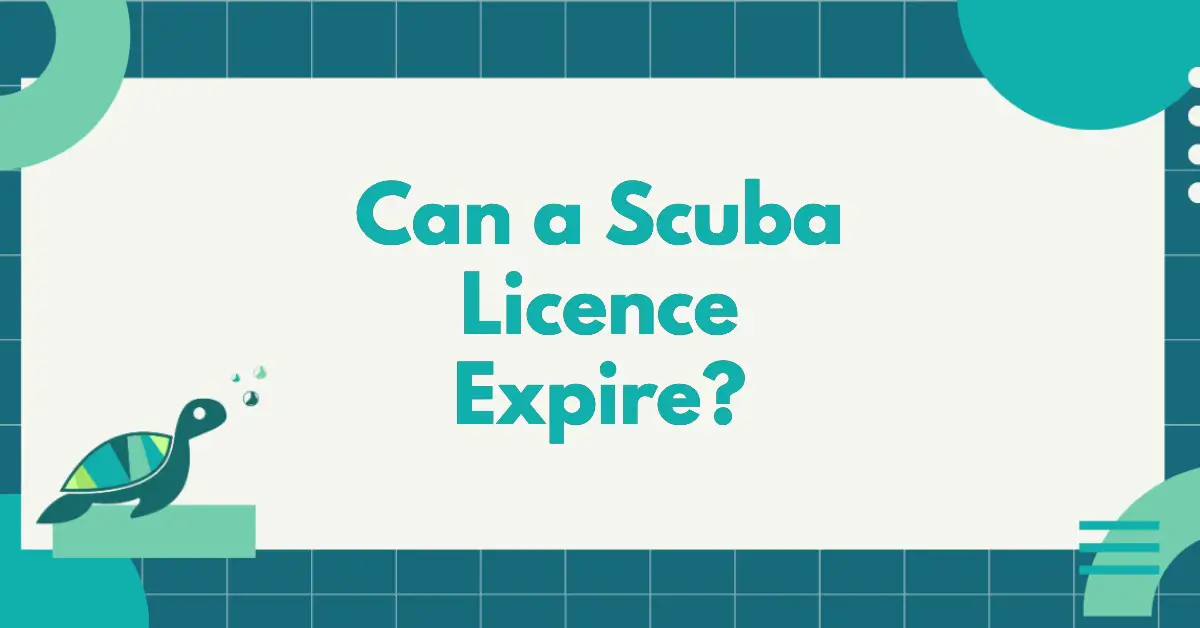 Can A Scuba Licence Expire?