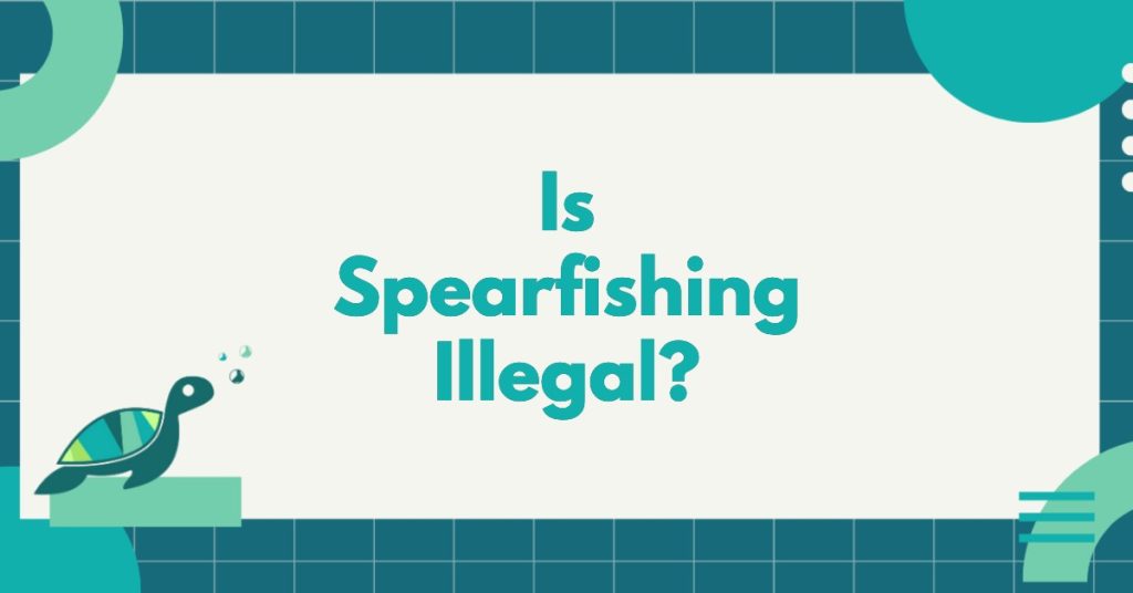 Is Spearfishing Illegal?