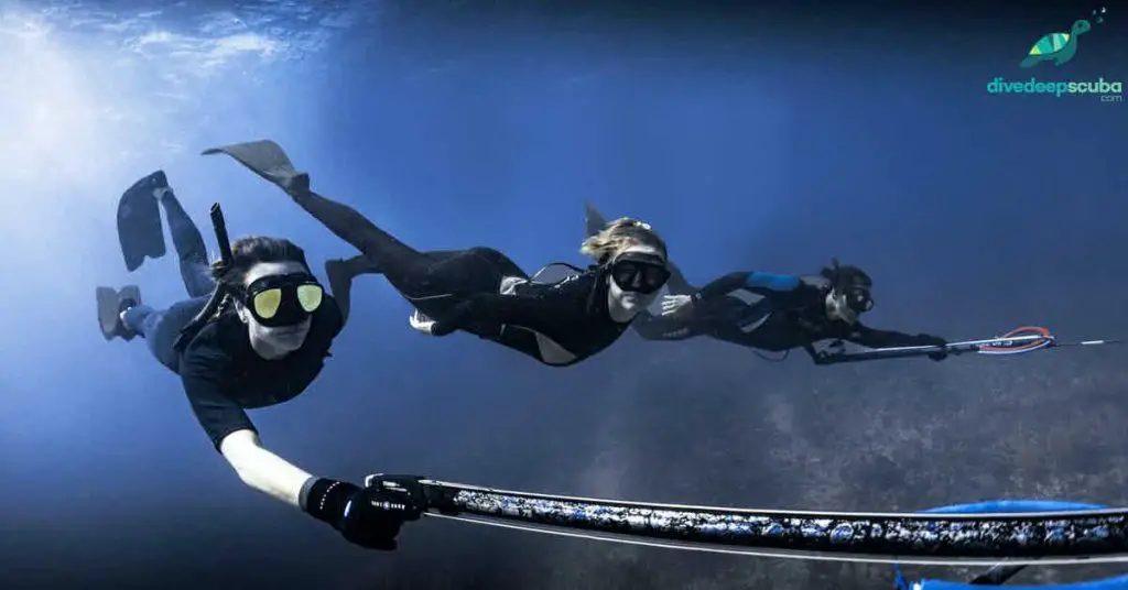 Spearfishing Freedivers