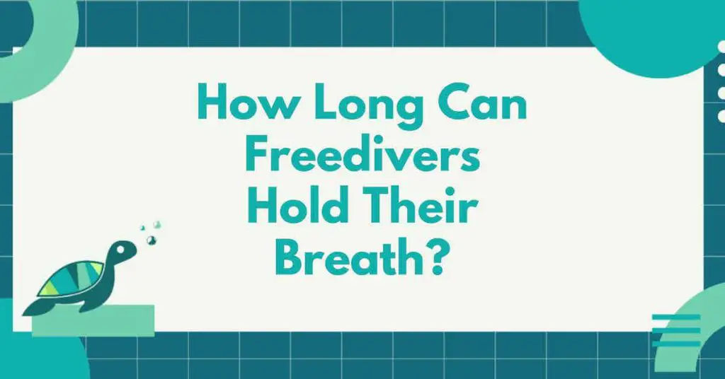 How Long Can Freedivers Hold Their Breath?