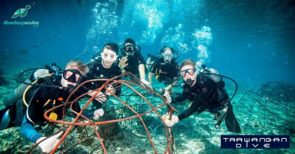 Coral propagation diving with Trawangan dive