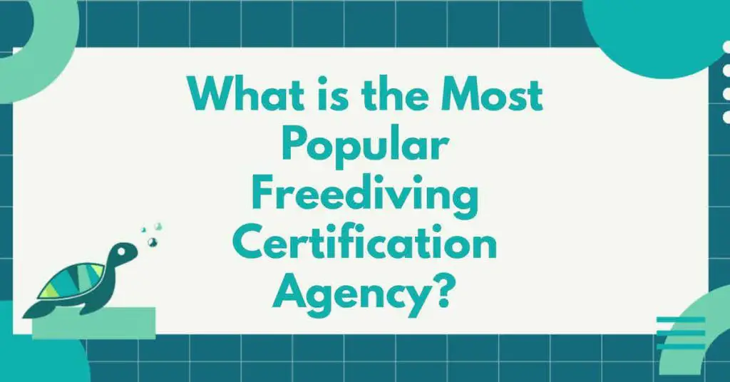 What Is The Most Popular Freediving Certification Agency