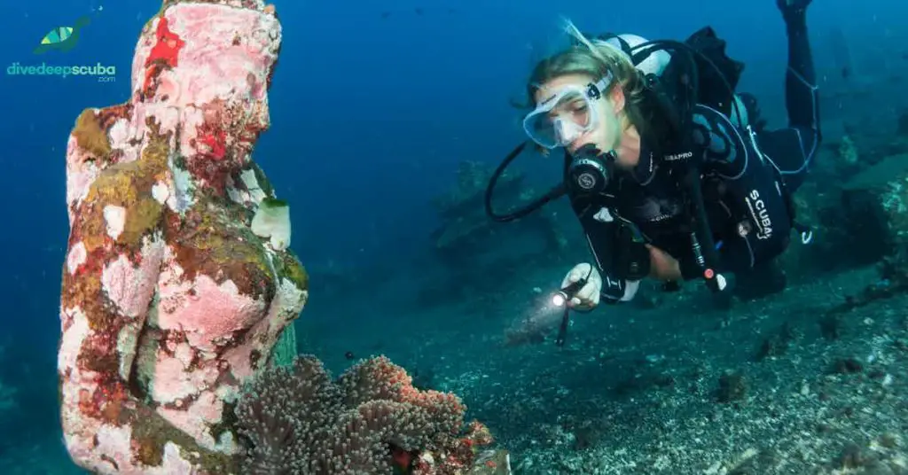 Diver looking at coral and clown fish