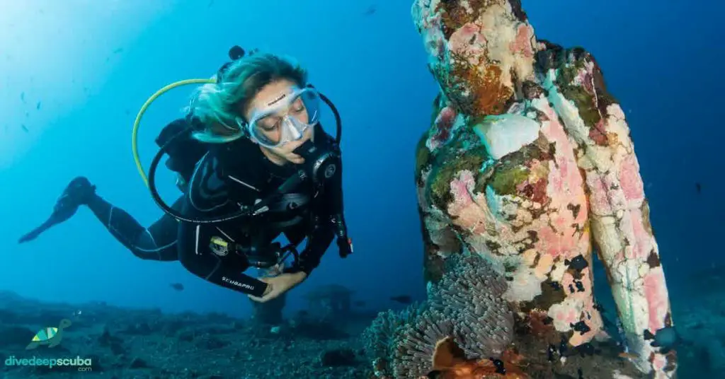 Scuba diver looking at clown fish