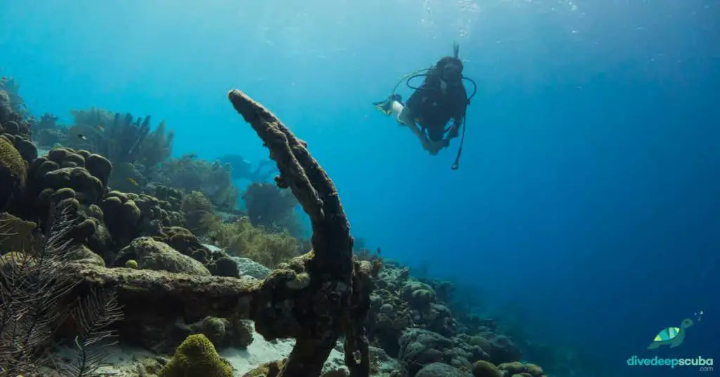 scuba diver swimming over a reef