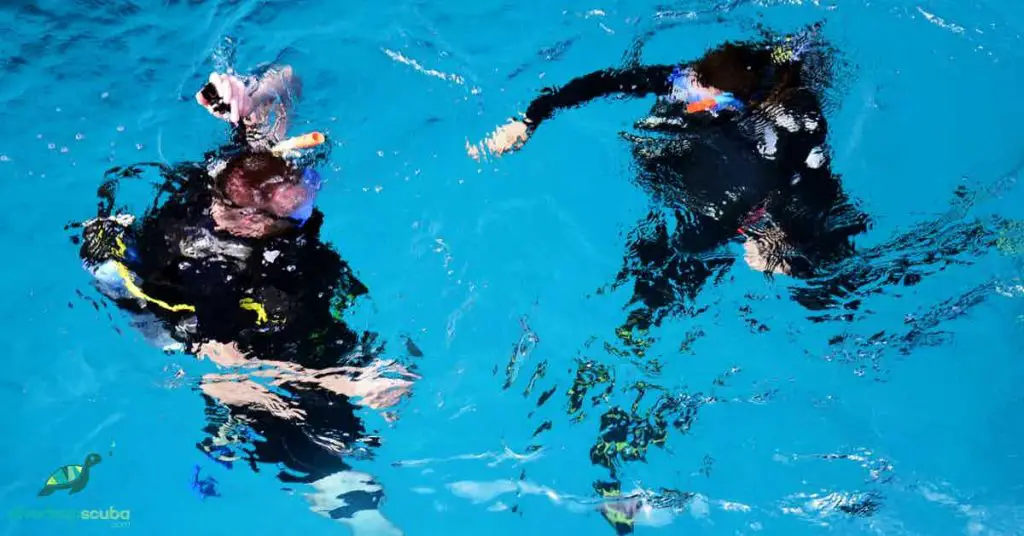 Two Scuba divers going down below the surface
