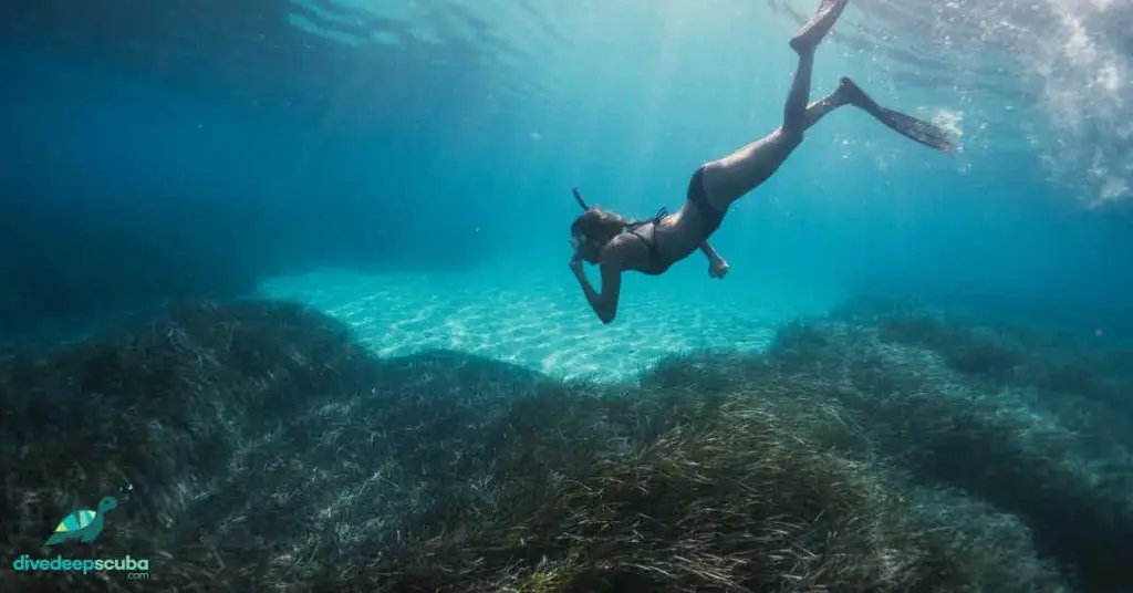 Woman snorkelling and diving down