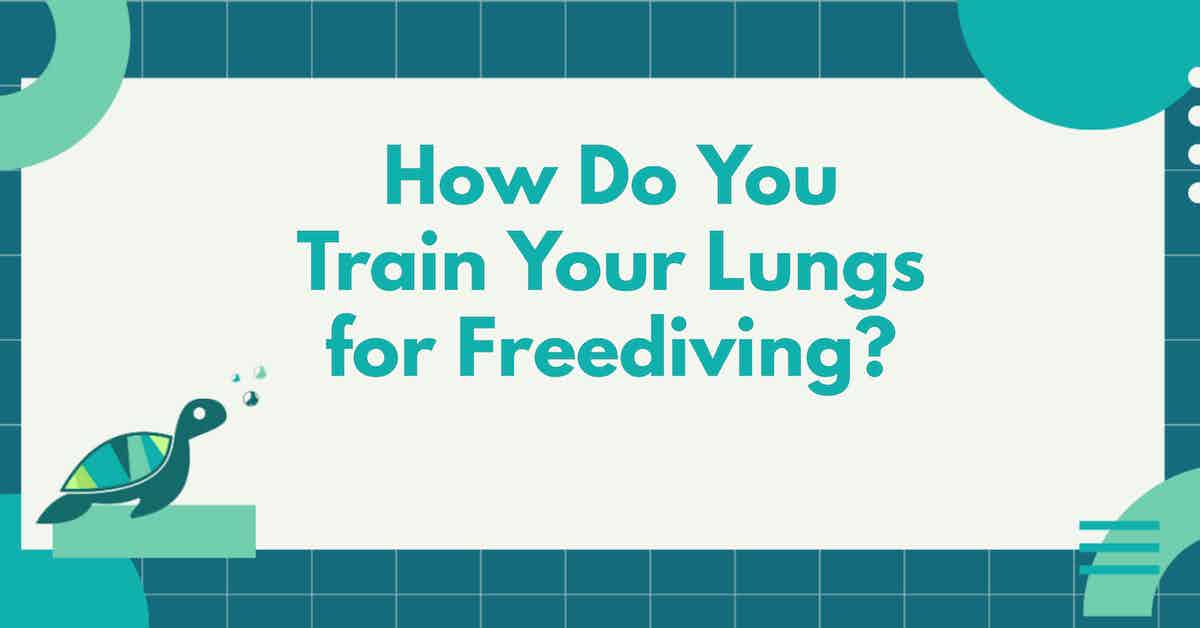 How Do You Train Your Lungs For Freediving?