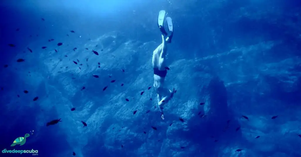 Freediver descending with fish swimming by