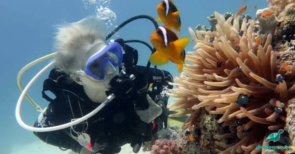 Picture of scuba diver with clown fish