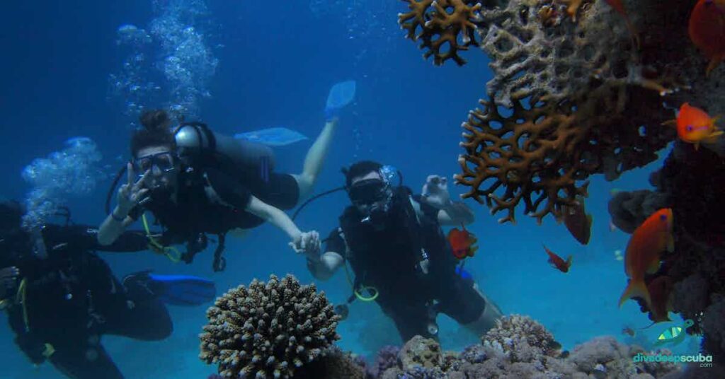 picture of couple holding hands while scuba diving