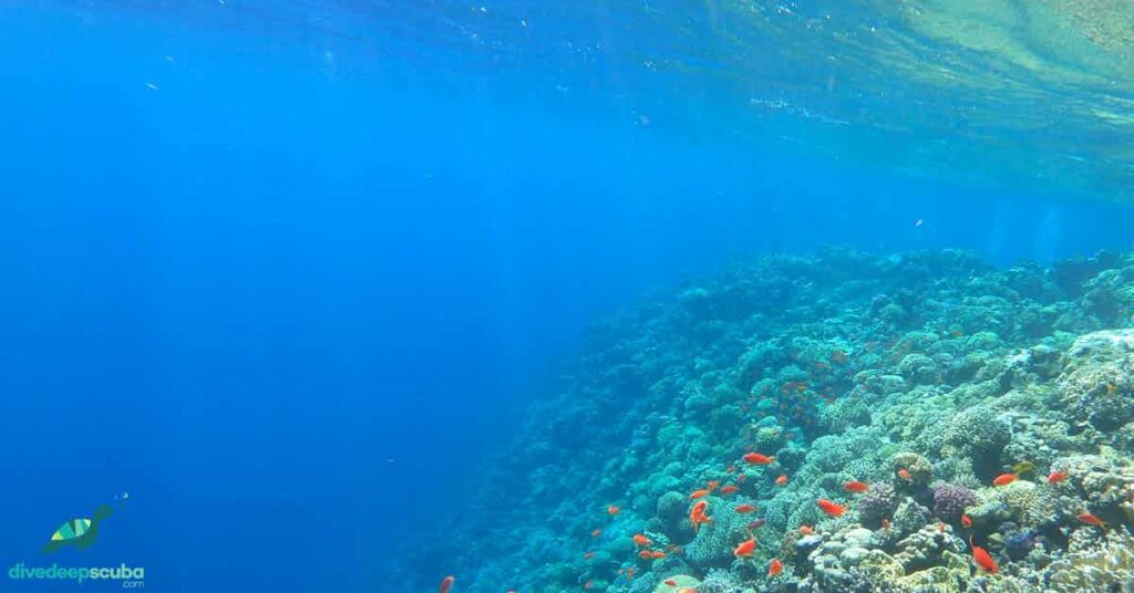 Picture of shallow coral reef